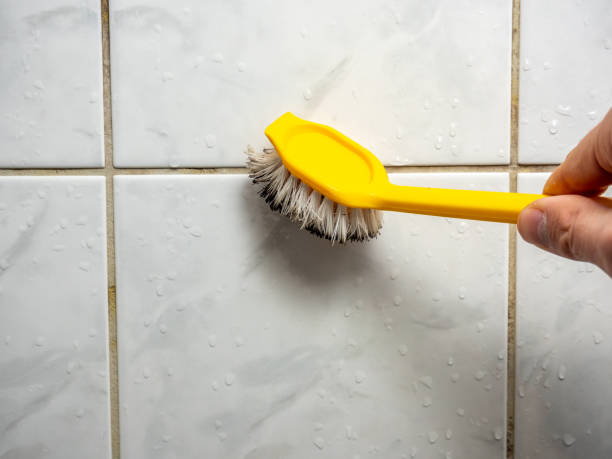Best Certified Mold Removal  in Sparta, MO