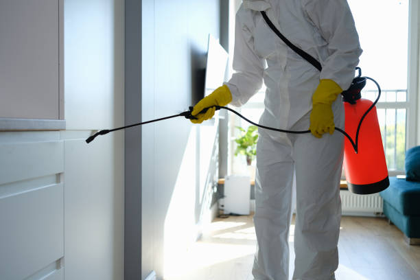 Home Mold Removal in Sparta, MO