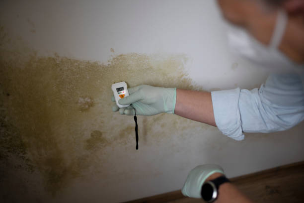 Best Crawl Space Mold Removal  in Sparta, MO