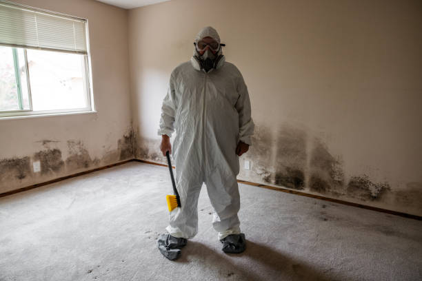 Best Mold Testing  in Sparta, MO
